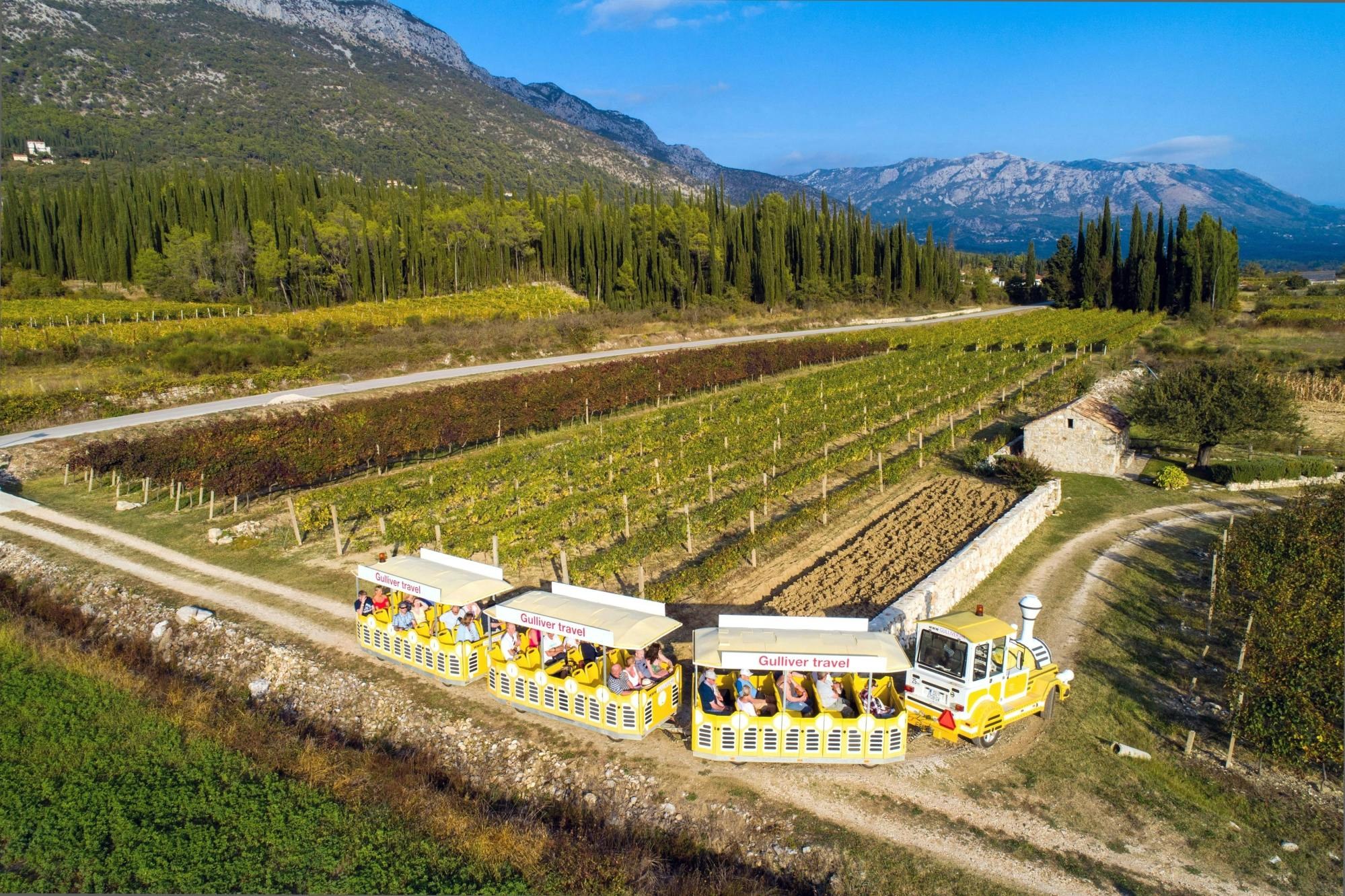 Konavle Valley: Private Wine, Gastronomy & Village Experience