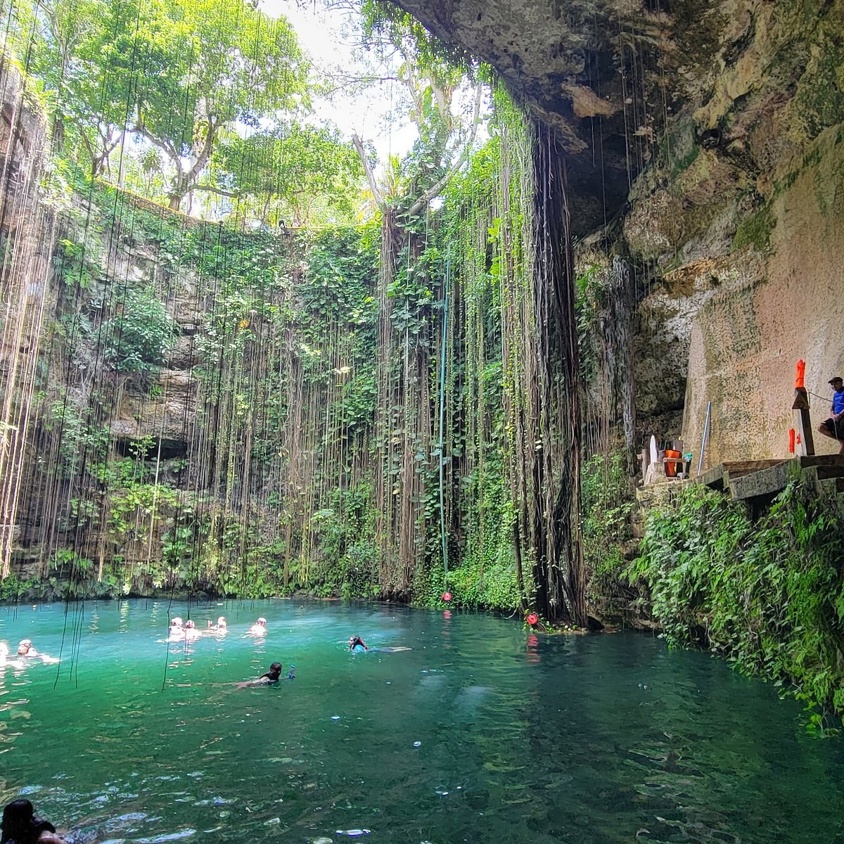 Ancient Mayan Ruins: Private Expert-Led Deep Dive