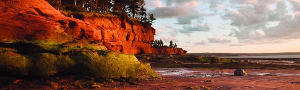Grand Pré & Minas Basin: Acadian Heritage Private Tour