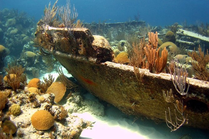 Bermuda Snorkel & Shipwreck Dive: South Shore Reef Expedition