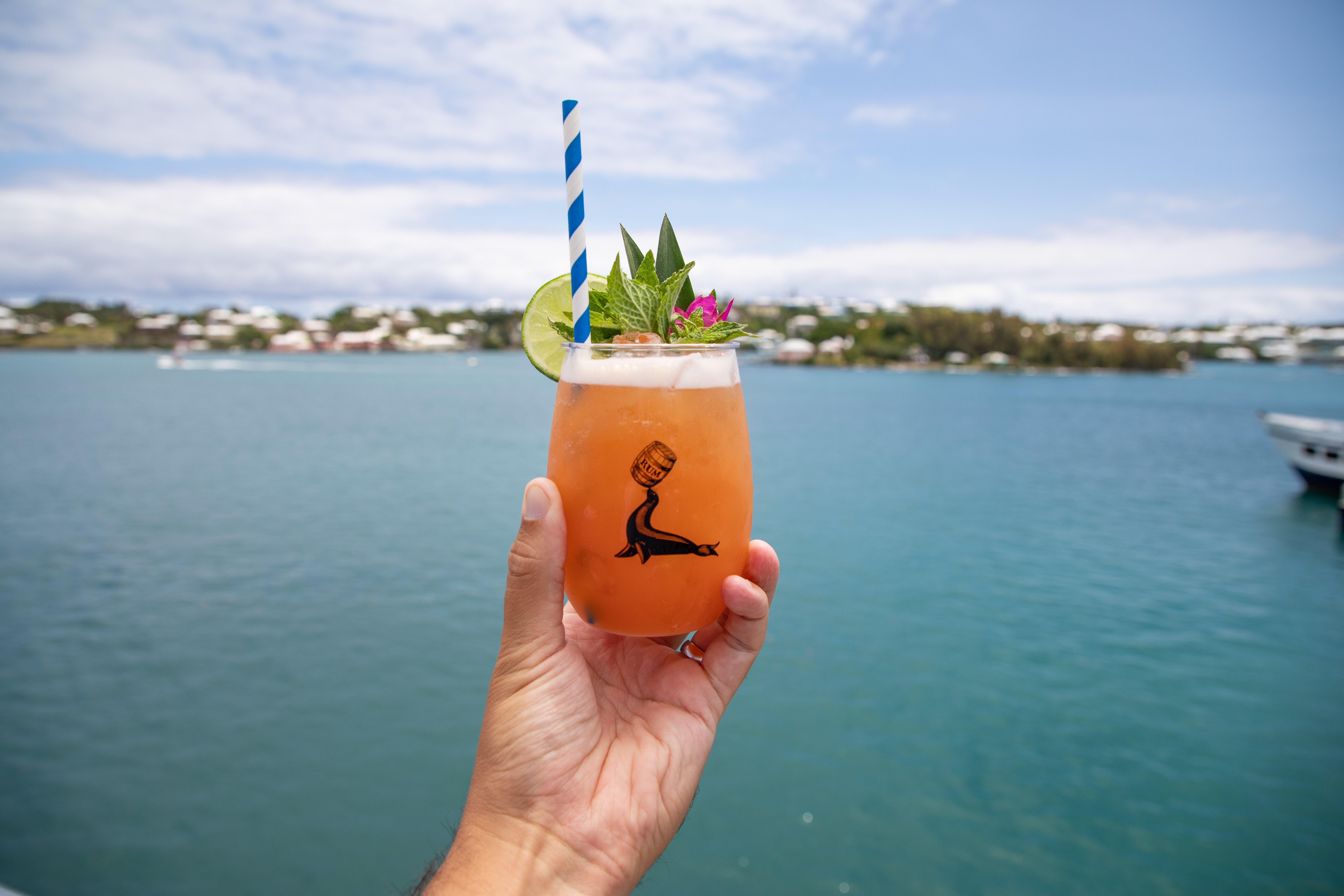 Bermuda Rum Swizzle & Culinary Heritage Tasting Experience
