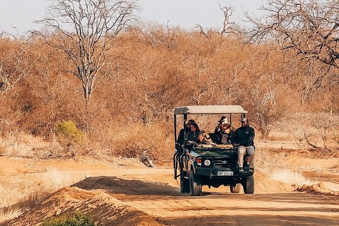 Private Safari at Sunset: Big Five Game Drive – Durban
