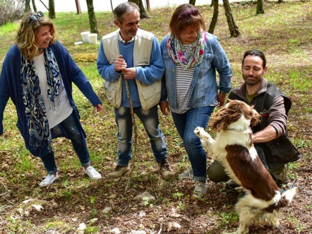 Private Truffle Hunt & Michelin-Kitchen Lunch in Umbria