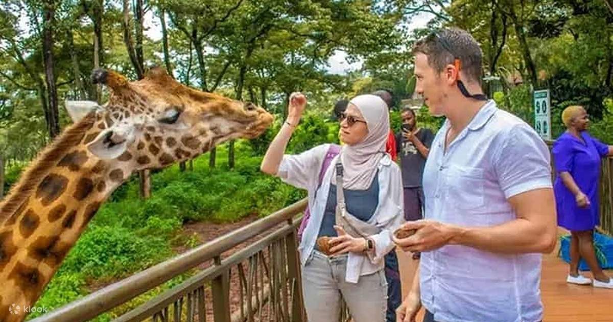 Haller Park: Giraffe & Hippo Encounter with Wildlife Guide