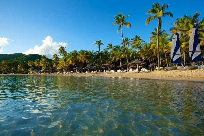 Curtain Bluff Beach Club & Snorkel: Exclusive Day Pass