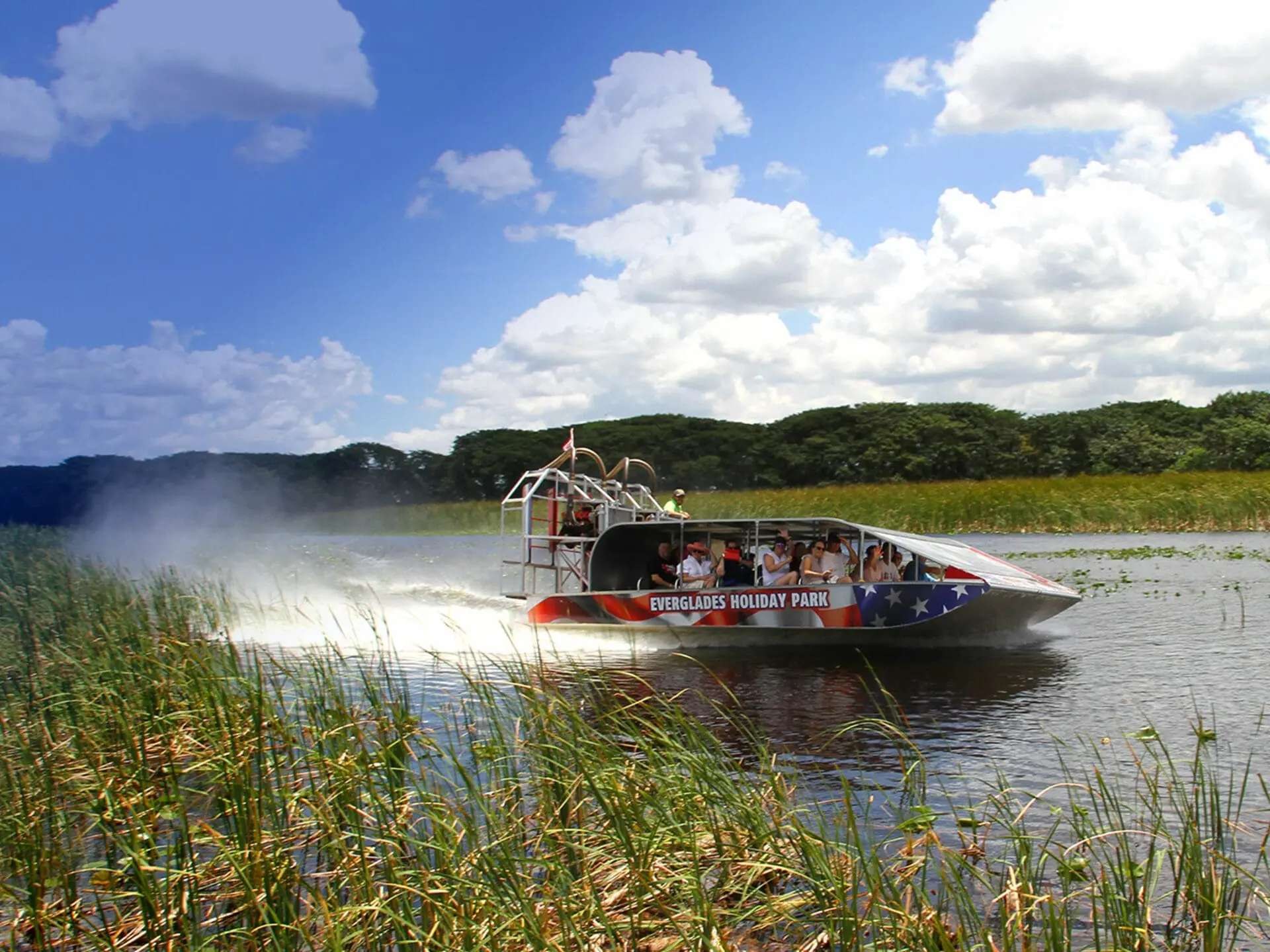 Private Everglades Airboat & Wildlife Immersion