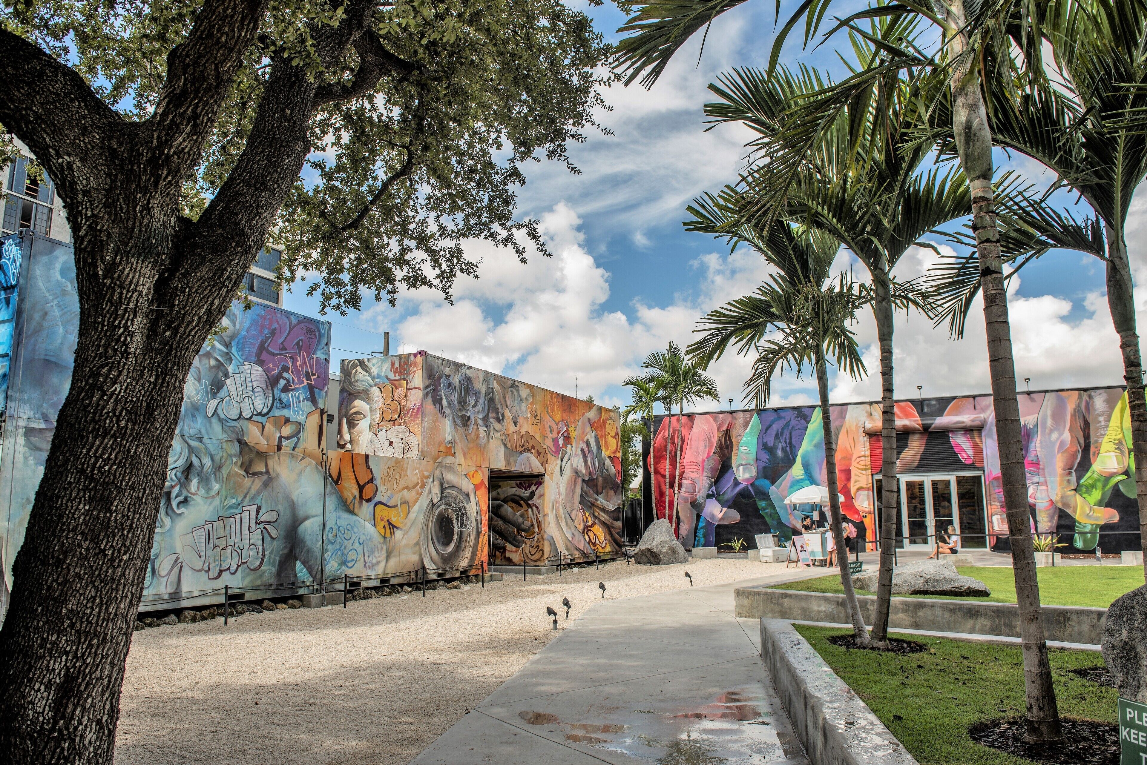 Miami Art Basel District & Wynwood Walls: Private Art Tour