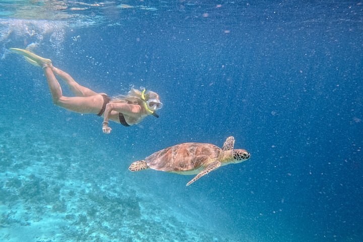 Gili Trawangan Sunrise Sea Turtle Snorkel & Reef Dive