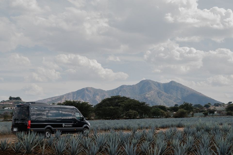 Private Tequila & Mezcal Masterclass with a Maestro Tequilero