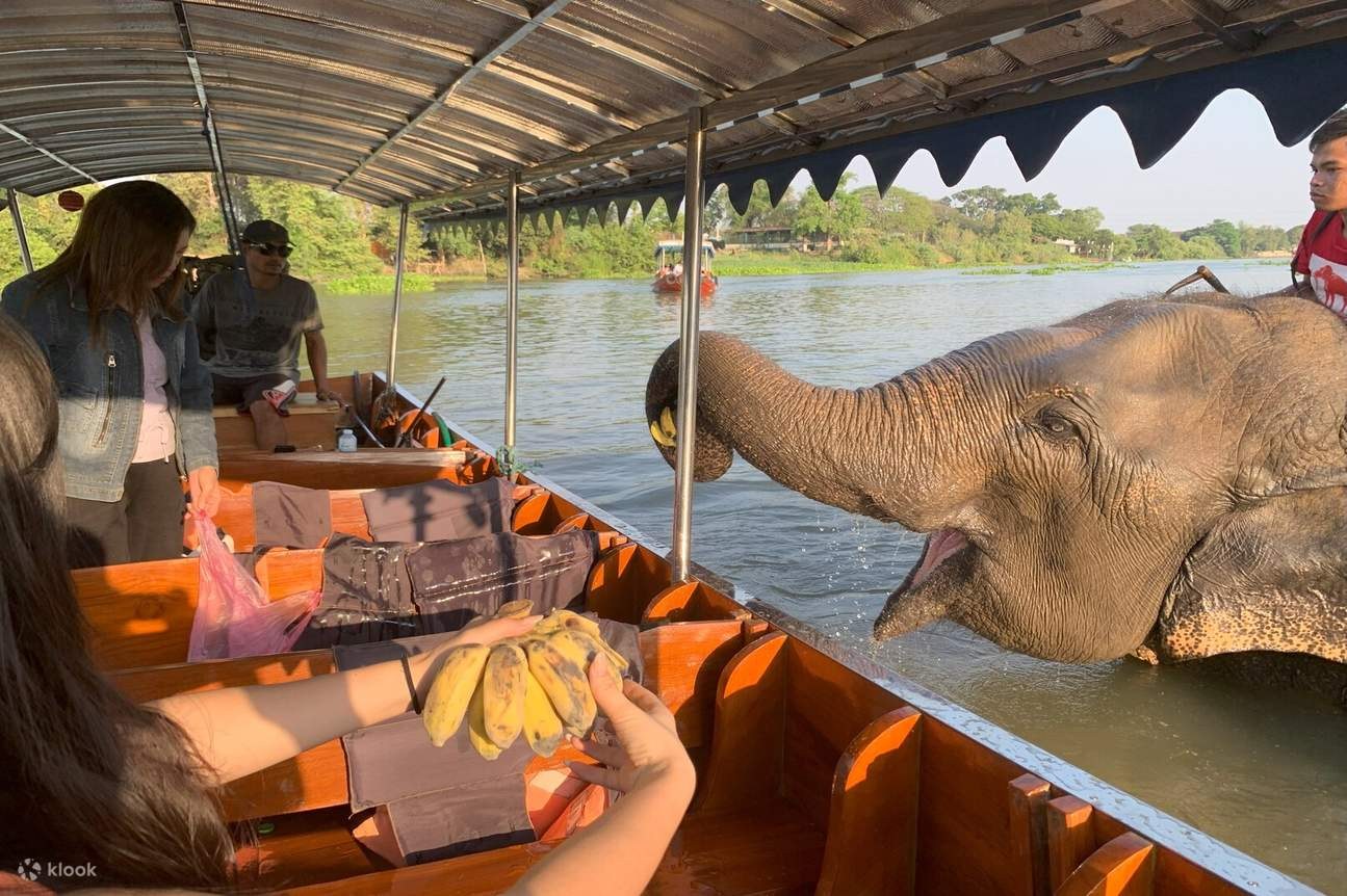 Ayutthaya Ruins by Private Longtail & Elephant Sanctuary