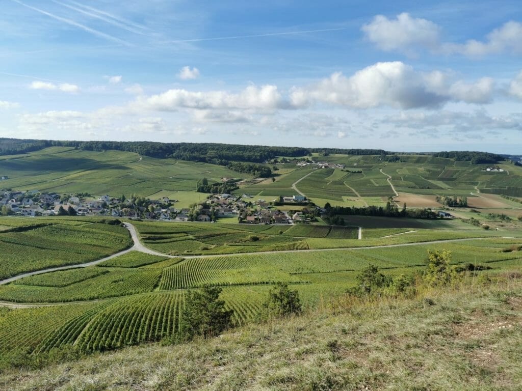 Scenic Panoramic Drive & Viewpoint Champagne Picnic