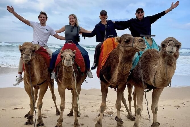 Tangier Grand Tour: Kasbah, Café Hafa & Grand Socco — VIP Full Day