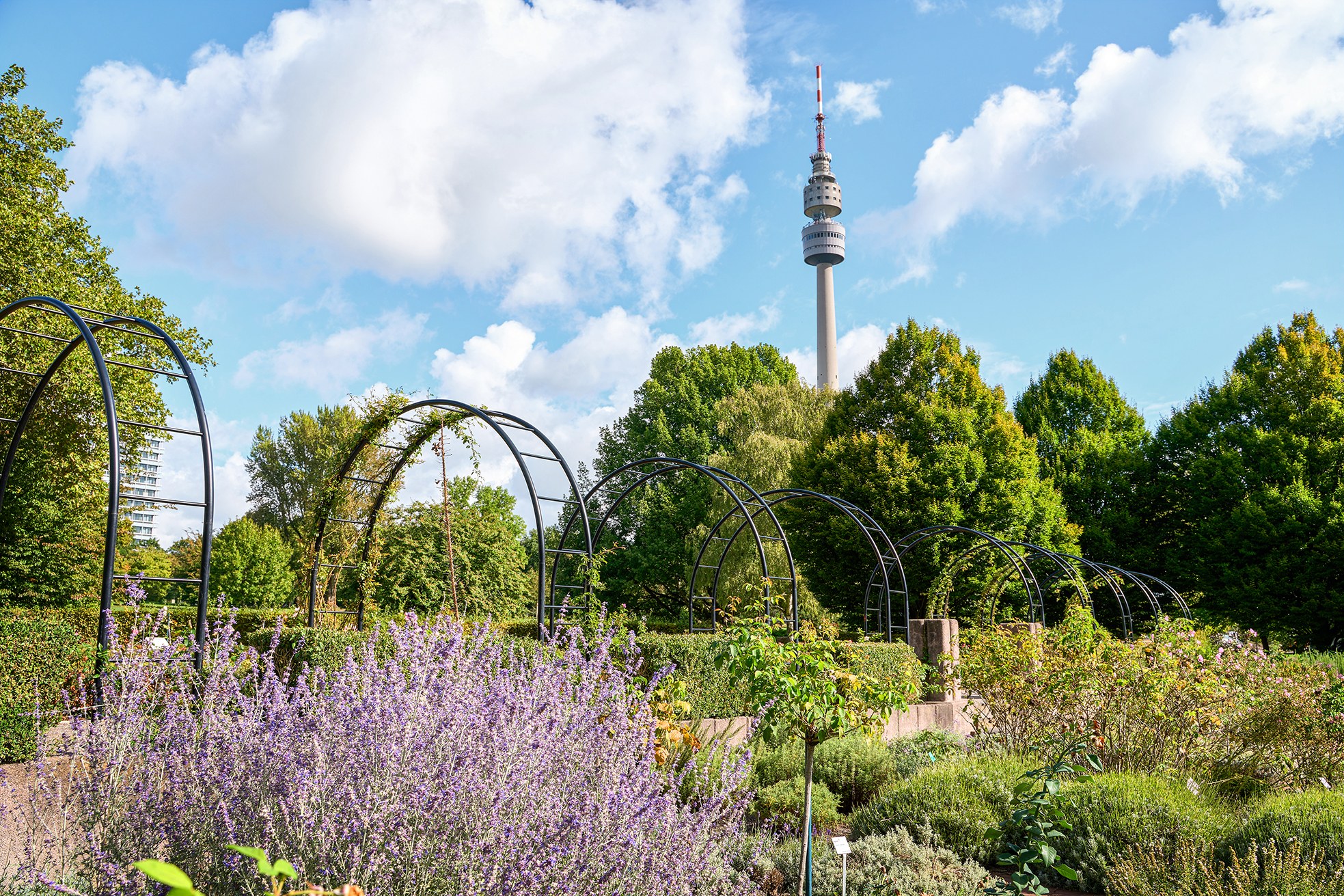 Westfalenpark Rose Gardens & Florianturm: Private Botanical Experience