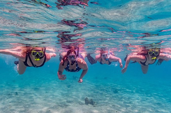 Bonaire: Private Guided Snorkeling in the Marine Sanctuary