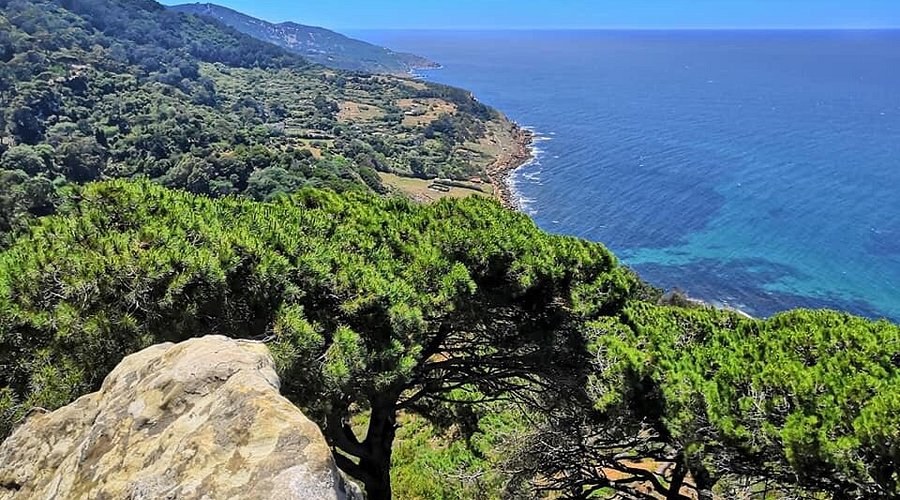Perdicaris Park Forest Walk & Wildlife Picnic — Tangier's Secret Garden