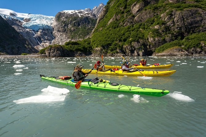 Private Kenai Fjords Sea Kayak & Wildlife Expedition