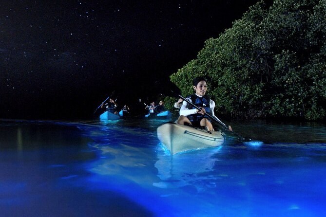 Private Sunset Kayak & Bioluminescent Bay Paddle