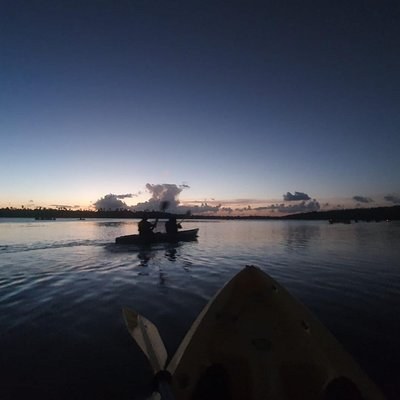 Bioluminescent Bay Kayak: Laguna Grande Night Tour