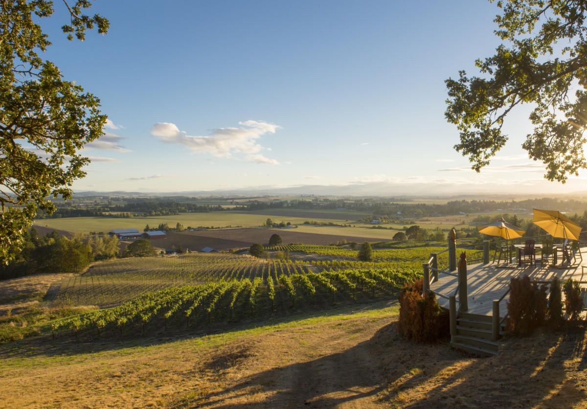 Exclusive Food & Wine Tasting with a Culinary Local