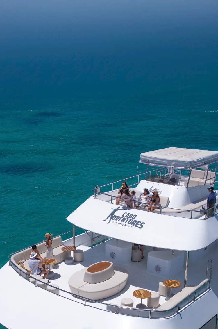 Private Snorkel & Wildlife Safari by Luxury Catamaran