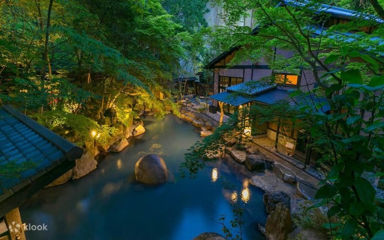 Private Mt. Fuji & Hakone: Iconic Views + Ryokan Lunch