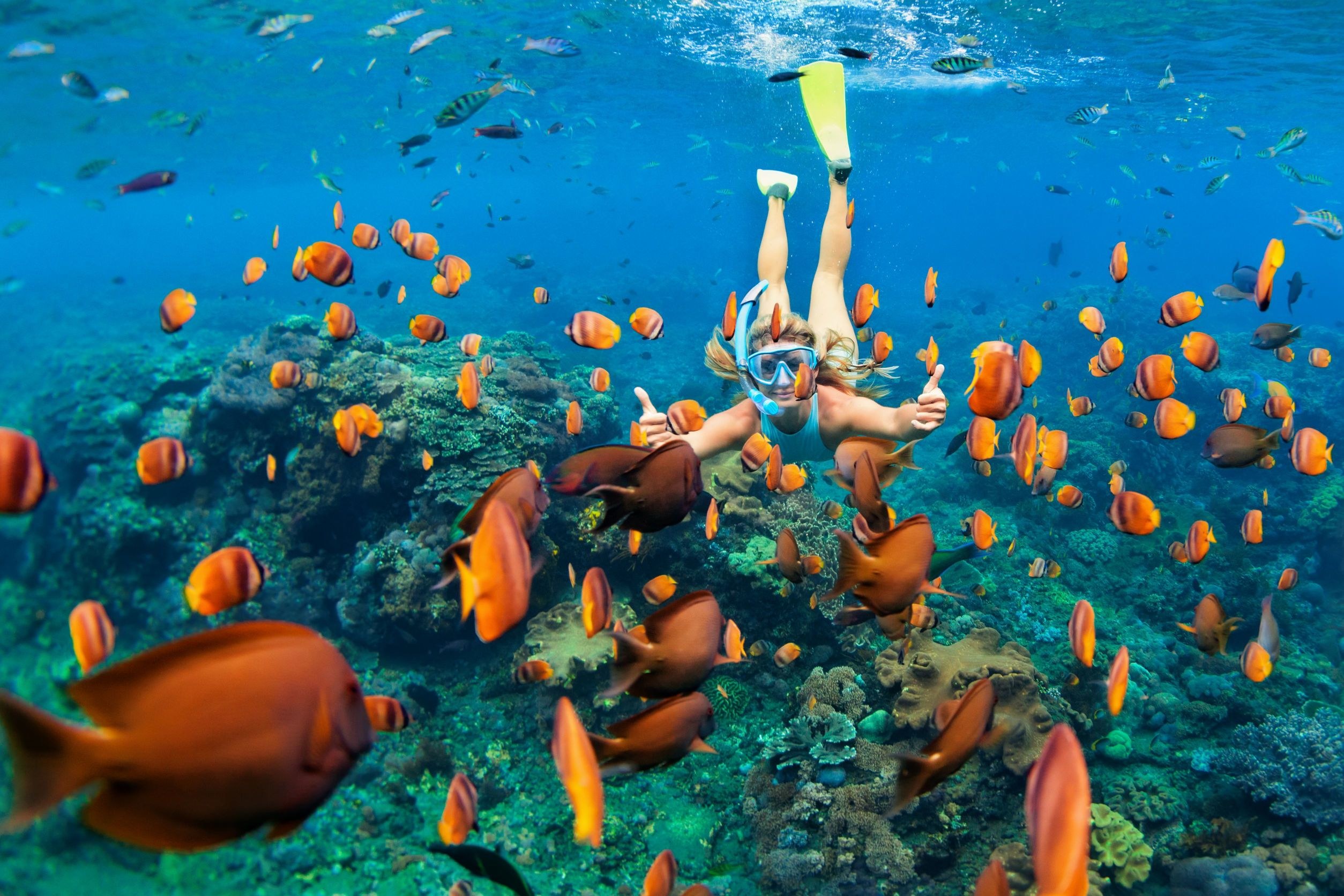 Private Sailing & Snorkel to Hidden Reefs & Sea Turtles
