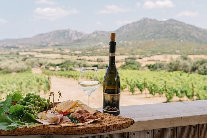 Gallura DOC Winery: Private Cellar Tour, Vermentino & Cannonau Tasting