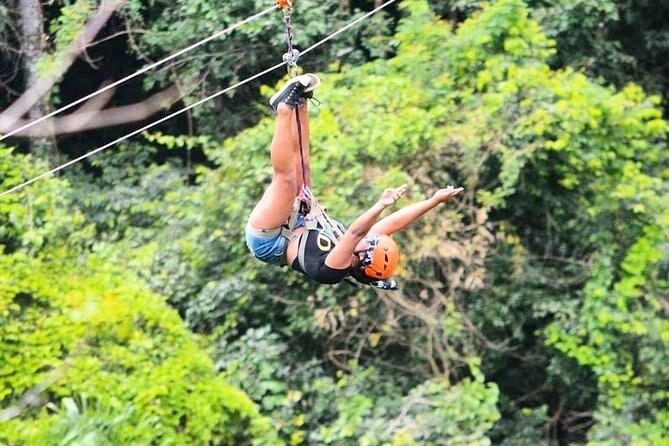 Zip-Line & Waterfall Abseil: Rainforest Adrenaline Combo
