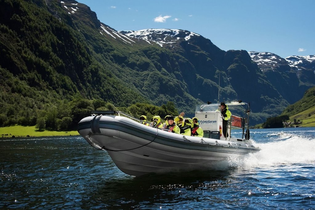 Private Fjord Safari by Rigid Inflatable: Seabird & Seal Colony