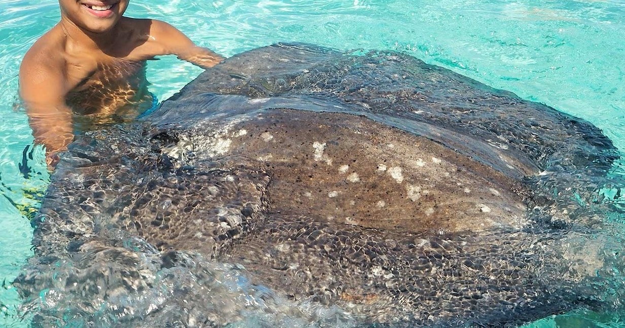 Stingray City & Coral Gardens Private Snorkel, Grand Cayman