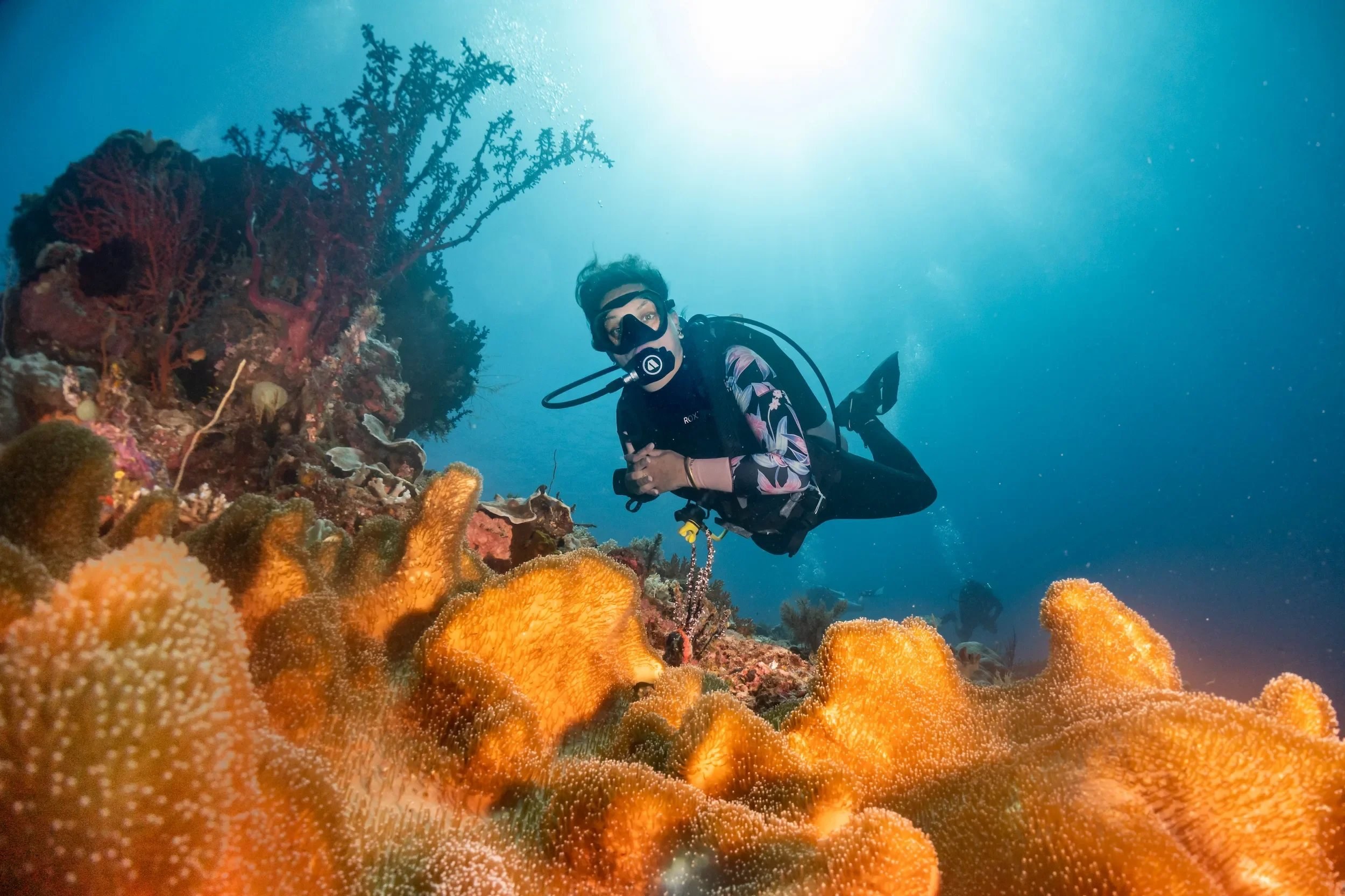 Private Scuba Dive: Cape Kri & Sardine Reef, Raja Ampat