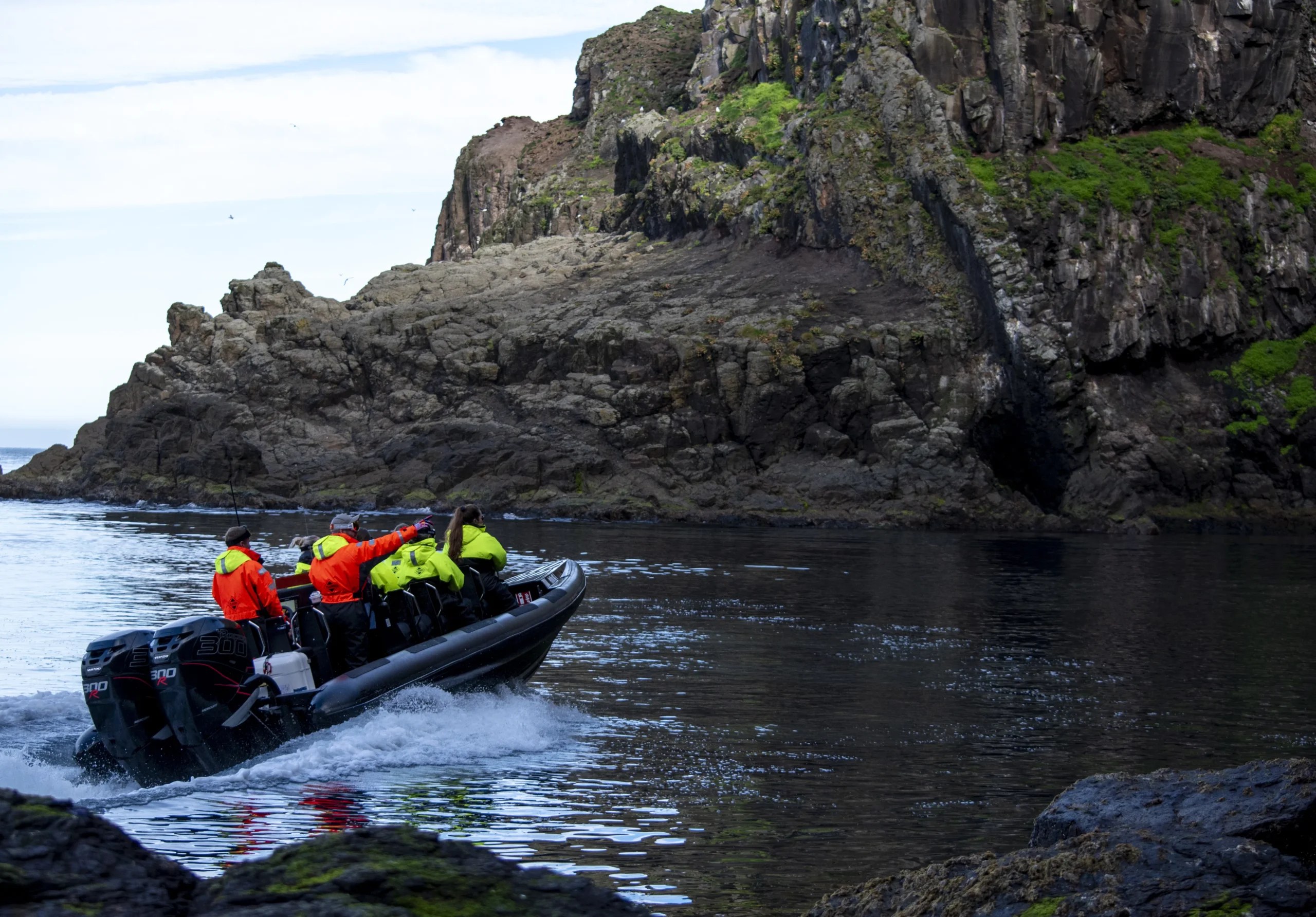 Atlantic Puffin & Seabird Safari by Rigid Inflatable Boat