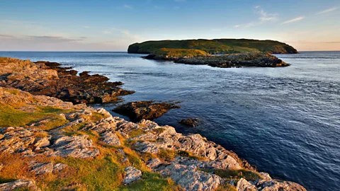 Calf of Man: Private Landing & Seabird Observatory