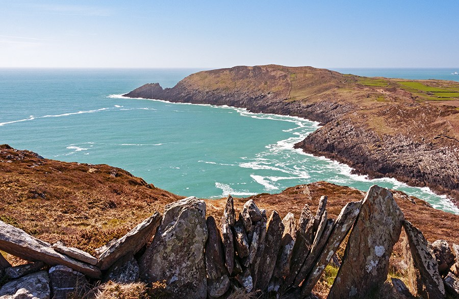 Cape Clear Island: Expert-Led Rare Seabird & Wildlife Walk