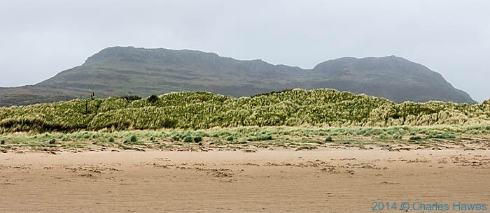 Wales Coast Path: Criccieth to Black Rock Sands Guided Walk