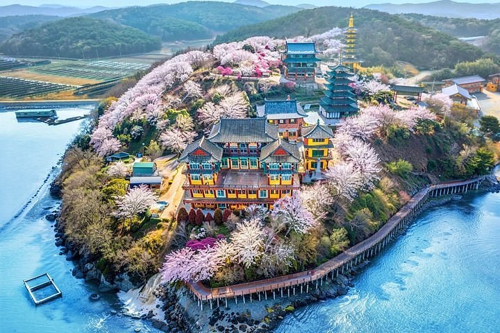 Seosan Replica Ancient Warship & West Sea Tidal Flats Eco-Tour