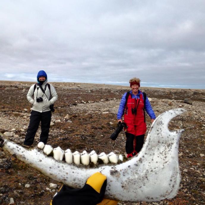 Pauline Cove Whaling History Walk with a Territorial Park Ranger