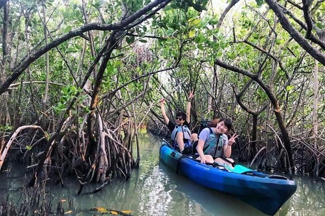 Thousand Islands Mangrove Tunnel Kayak Expedition