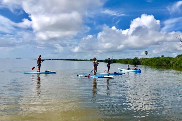 Banana River Aquatic Preserve Stand-Up Paddleboard Experience
