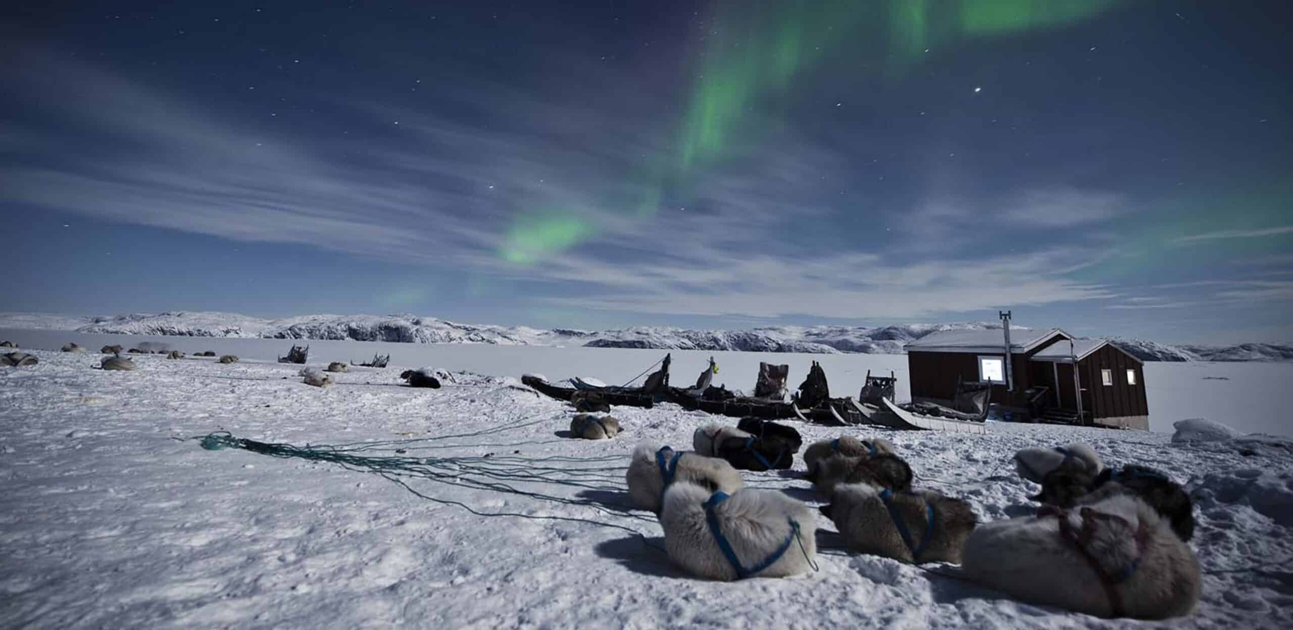 Private Greenlandic Dog-Sled Culture & Inuit History Walk