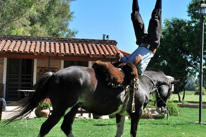 Estancia Day: Asado, Gaucho Horsemanship & Pampas Polo