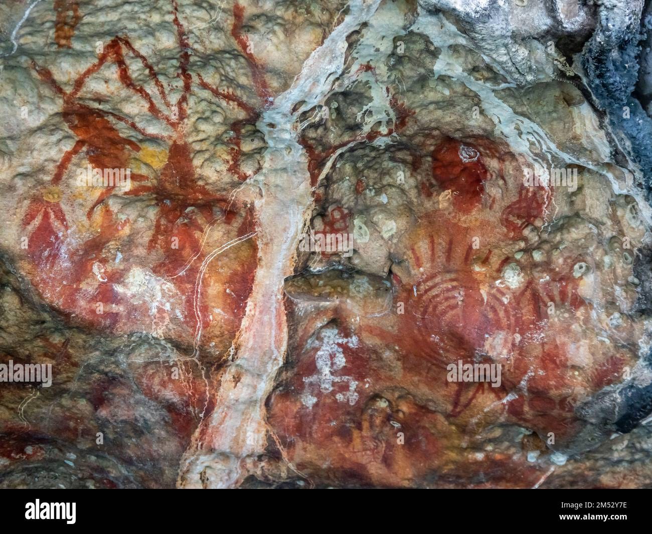 Kokas Cliff Carvings: Ancient Rock Art Expedition