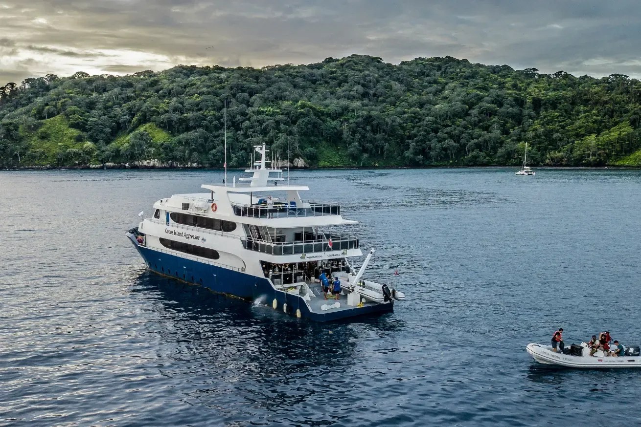 Private Liveaboard Dive: Kokas & Triton Bay Seamounts