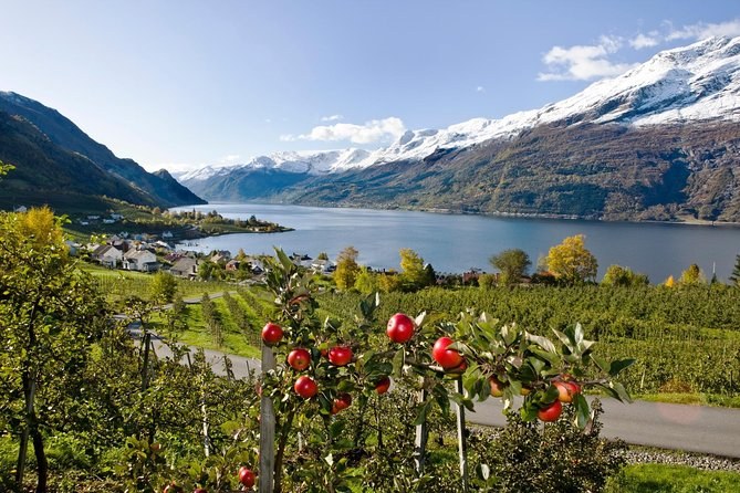Private Hardangerfjord & Rosendal Baroniet Day Tour