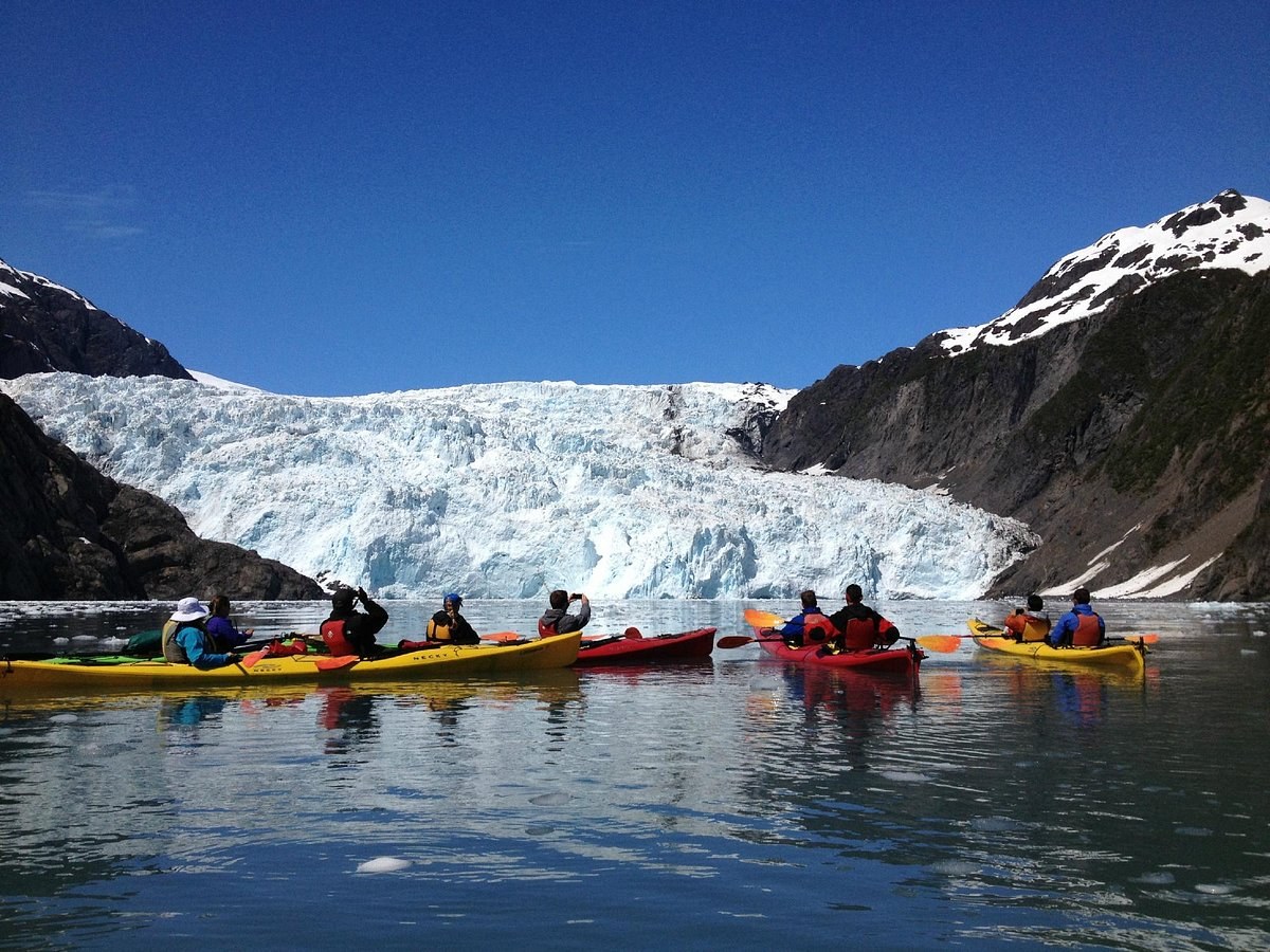 Sea Eagle & Wildlife Kayak: Sunnhordland's Secret Coves