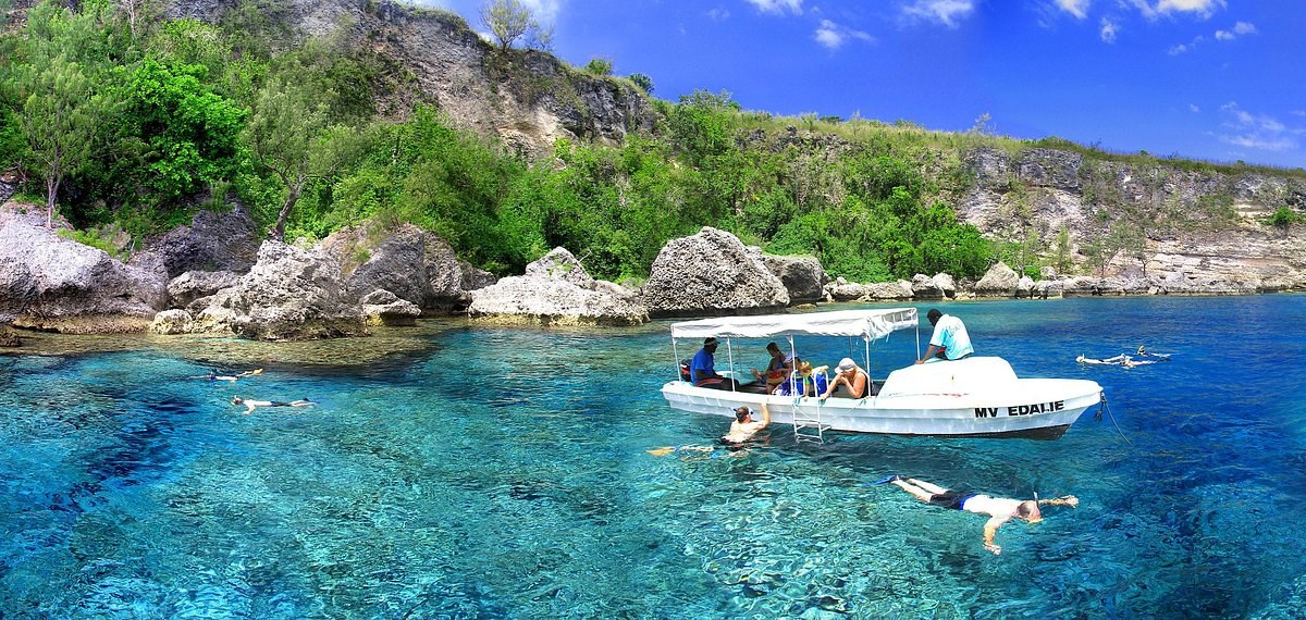 Lelepa Marine Reserve: Private Snorkel & Coral Garden Drift