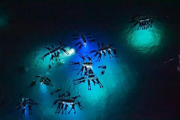 Manta Ray Corridor Drift Snorkel at Arborek