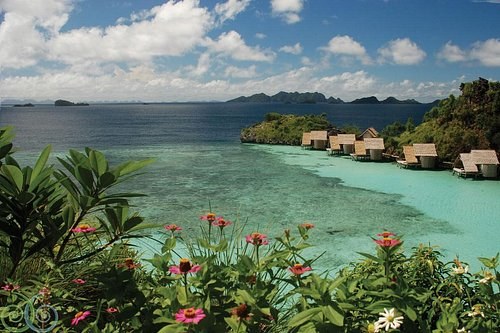 Misool Eco Resort: Guided Dive Safari in a No-Take Marine Sanctuary