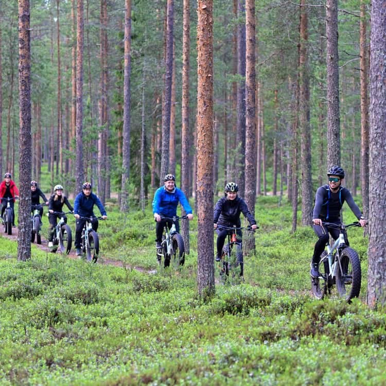 Oulu: Electric Fatbike Adventure Through City & Coastline