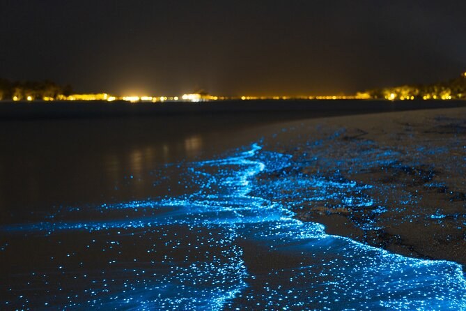 Klein Bonaire: Bioluminescence Snorkel at the Marine Park